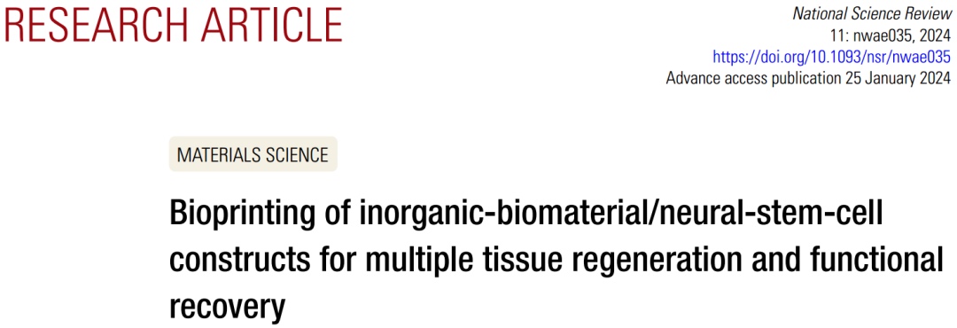 3D打印無機生物材料 神經(jīng)干細胞構(gòu)建體推動組織再生與功能恢復